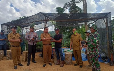 Penanaman Bibit Pohon di Hutan Rakyat