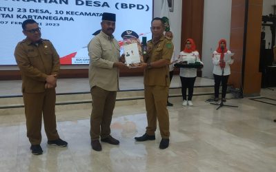 Sukses Wujudkan Desa Mandiri, Desa Manunggal Jaya Terima Lencana Desa Mandiri Dari Kementrian Desa